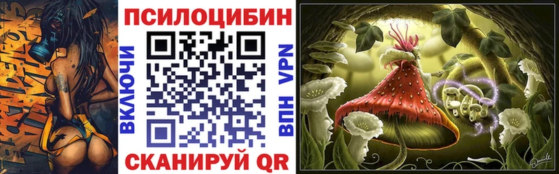 Купить закладки  Магнитогорск  Галлюциногенные грибы Psilocybine cubensis 
