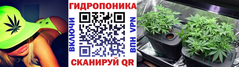 Купить где  Магнитогорск  Бошки марихуана THC 21% 